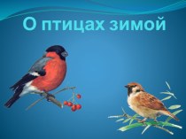 План проекта Птицы зимой для детей старшего дошкольного возраста презентация к уроку по окружающему миру (старшая, подготовительная группа)