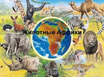 Презентация к занятию Животные Африки презентация к уроку по окружающему миру (подготовительная группа) по теме