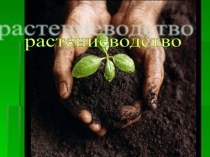 растениеводство, (проект урока) план-конспект урока по окружающему миру (3 класс)