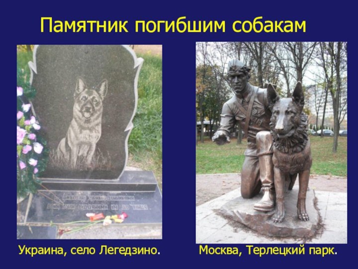Памятник погибшим собакамУкраина, село Легедзино.Москва, Терлецкий парк.