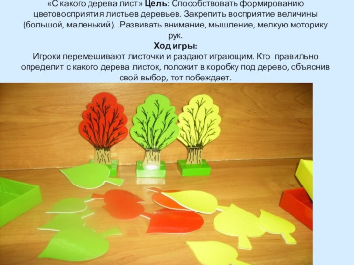 «С какого дерева лист» Цель: Способствовать формированию цветовосприятия листьев деревьев. Закрепить восприятие