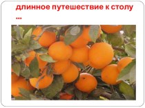 История апельсина. занимательные факты (2 класс) по теме