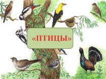 дидактическая игра лото-загадки Птицы методическая разработка по окружающему миру (старшая группа)