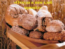 Презентация История хлеба. презентация к уроку по теме