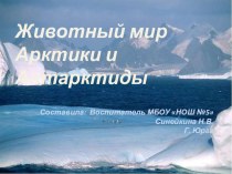Презентация Животный мир Арктики и Антарктиды презентация к уроку по окружающему миру (старшая группа)