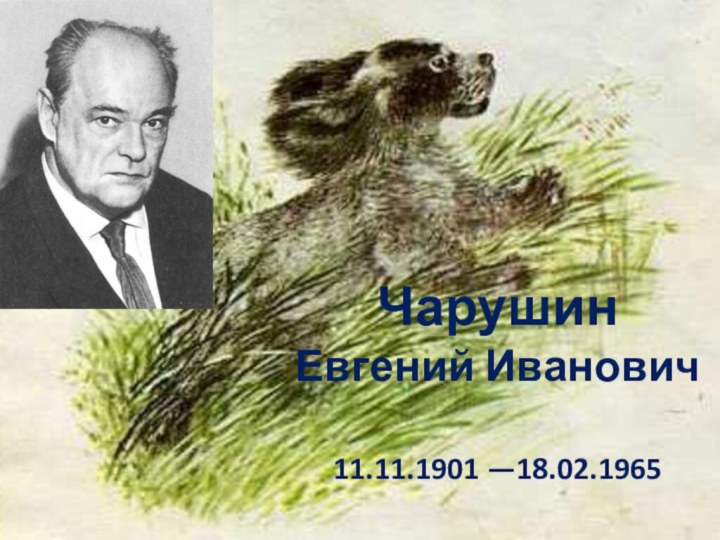 Чарушин  Евгений Иванович  11.11.1901 —18.02.1965