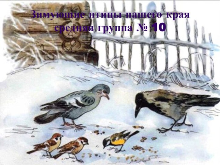 Зимующие птицы нашего края средняя группа № 10