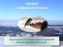ПРОЕКТ Зимующие птицы проект