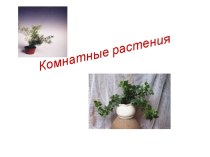 Комнатные растения презентация к уроку по окружающему миру (3 класс) по теме