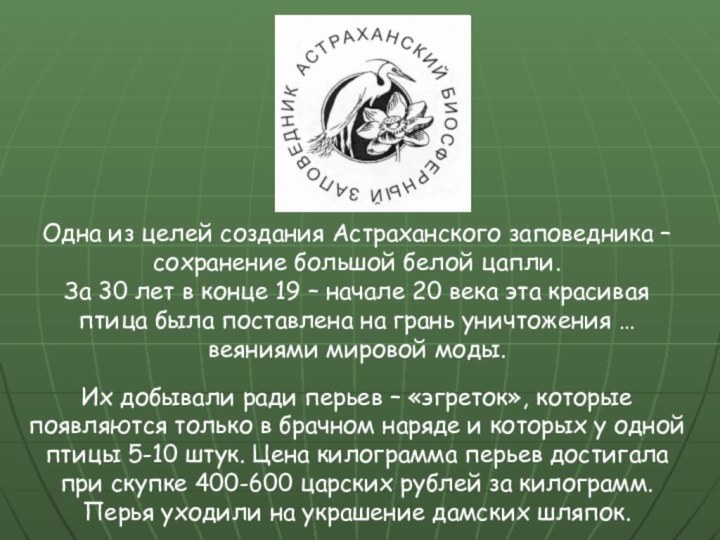 Одна из целей создания Астраханского заповедника – сохранение большой белой цапли. За