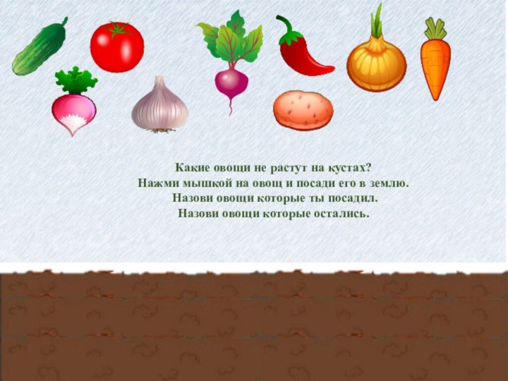 Какие овощи не растут на кустах?Нажми мышкой на овощ и посади его