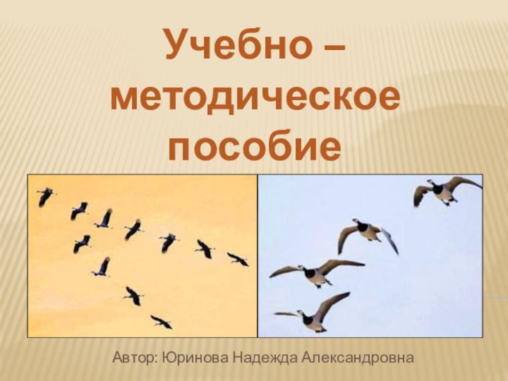 Учебно – методическое пособие  «перелетные птицы»Автор: Юринова Надежда Александровна