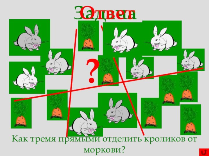 Как тремя прямыми отделить кроликов от моркови?Задача?Ответ