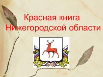 Животные Красной книги Нижегородской области презентация к уроку по окружающему миру (3 класс) по теме