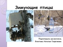 Познавательно-исследовательский проект Покормите птиц зимой проект по окружающему миру (подготовительная группа) по теме