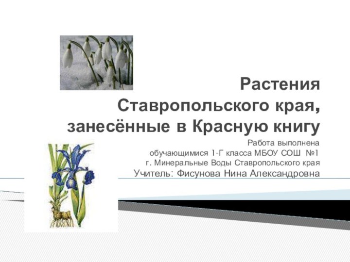 Растения  Ставропольского края, занесённые в Красную книгуРабота выполнена обучающимися