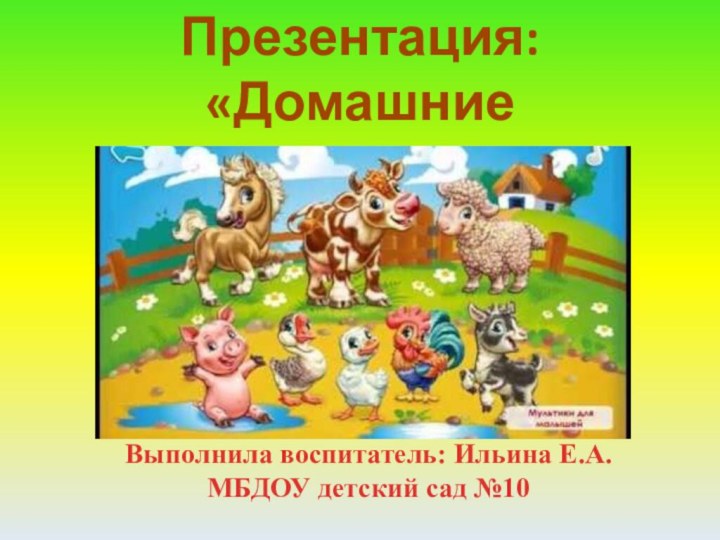 Презентация:«Домашние животные»Выполнила воспитатель: Ильина Е.А.МБДОУ детский сад №10