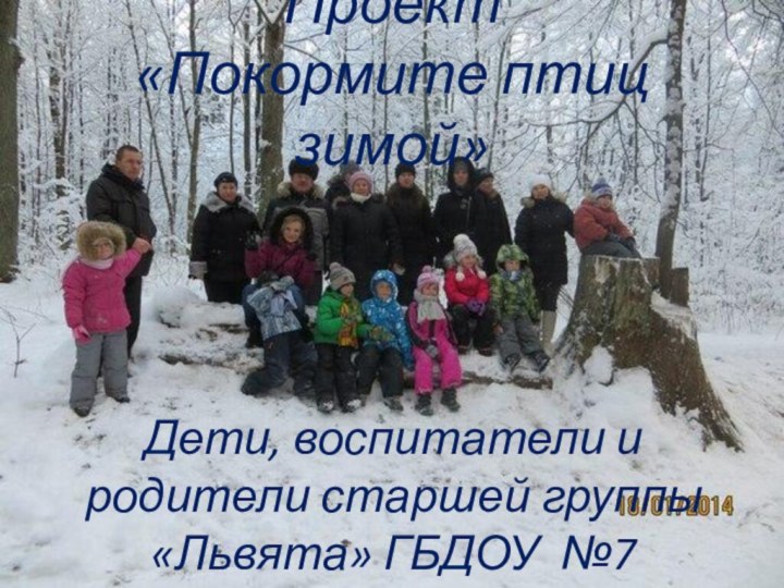 Проект «Покормите птиц зимой»Дети, воспитатели и родители старшей группы «Львята» ГБДОУ №7
