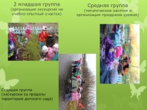 Экскурсии в природу – как форма организации экологического воспитания дошкольников статья по окружающему миру по теме