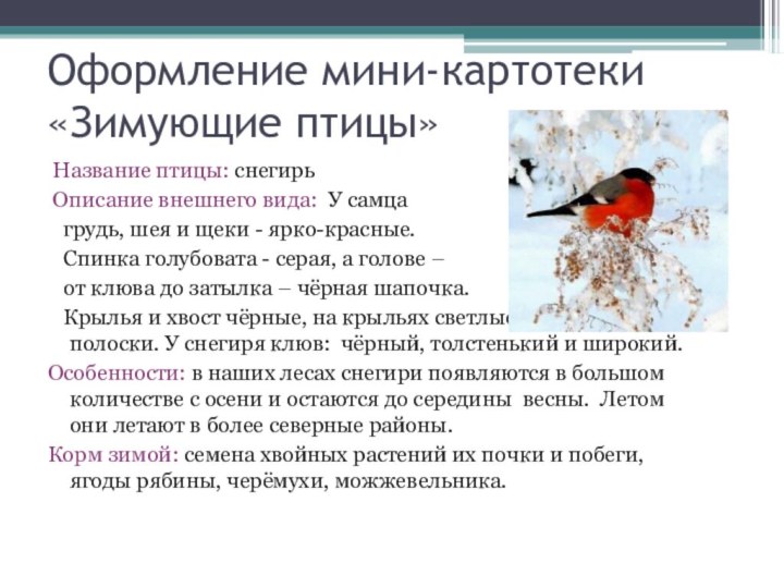 Оформление мини-картотеки «Зимующие птицы» Название птицы: снегирь Описание внешнего вида: У самца
