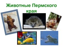 Животные Пермского края презентация к уроку (старшая группа)
