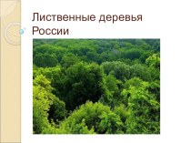 мультимедиа презентация Лиственные деревья России презентация к занятию по окружающему миру (средняя группа)