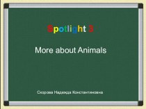 More about Animals презентация к уроку по иностранному языку (3 класс) по теме