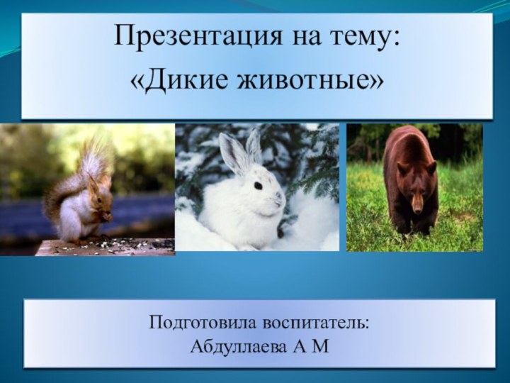 Презентация на тему:«Дикие животные»Подготовила воспитатель: Абдуллаева А М