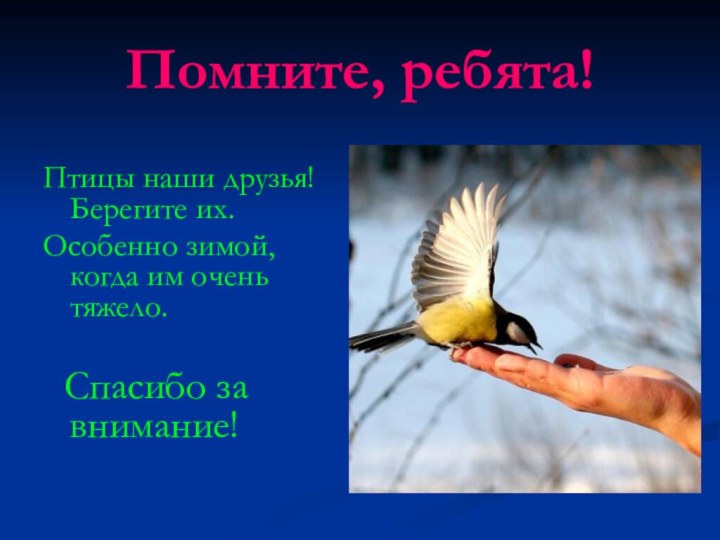Помните, ребята!Птицы наши друзья! Берегите их. Особенно зимой, когда им очень тяжело.  Спасибо за внимание!