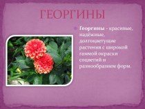 sadovye cvety -chast 2