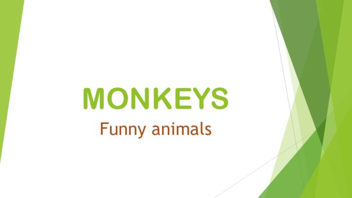 MONKEYSFunny animals