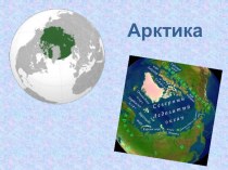 Арктика, Тундра презентация к уроку по окружающему миру (4 класс)