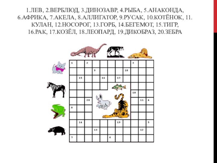1.Лев, 2.верблюд, 3.динозавр, 4.рыба, 5.анаконда,  6.Африка, 7.акела, 8.аллигатор, 9.русак, 10.котёнок, 11.кулан,