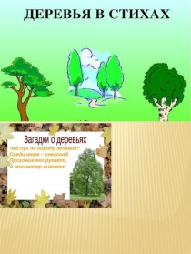 Загадки про деревья презентация к уроку по окружающему миру (средняя группа)