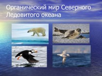 Презентация по окружающему миру Органический мир Северного Ледовитого океана презентация к уроку по окружающему миру (4 класс)