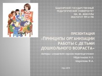 Презентация Принципы организации работы с детьми дошкольного возраста презентация к уроку ( группа) по теме