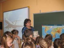 Путешествие на Северный полюс . Подготовительная к школе группа. презентация урока для интерактивной доски по окружающему миру (подготовительная группа)