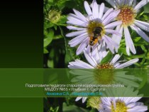 Ромашка-цветок здоровья учебно-методическое пособие