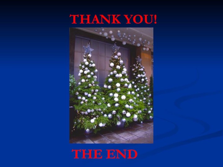 THE ENDTHANK YOU!