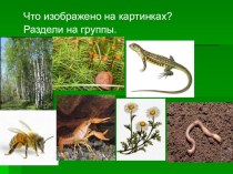 сходство растений и животных