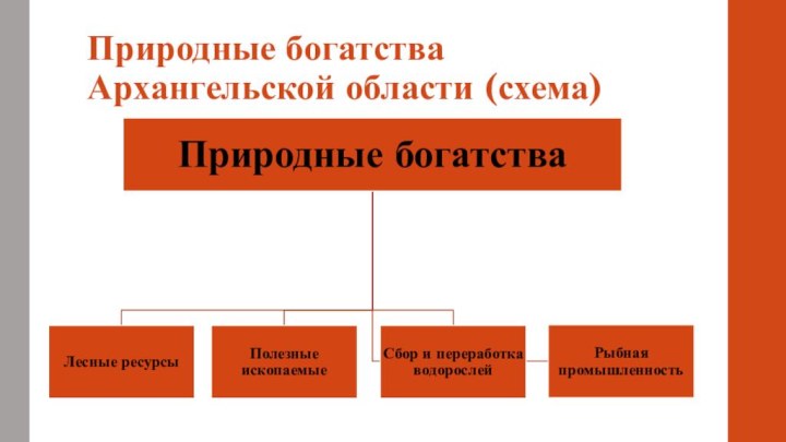 Природные богатства Архангельской области (схема)