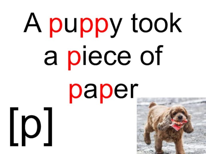 A puppy took a piece of paper[p]