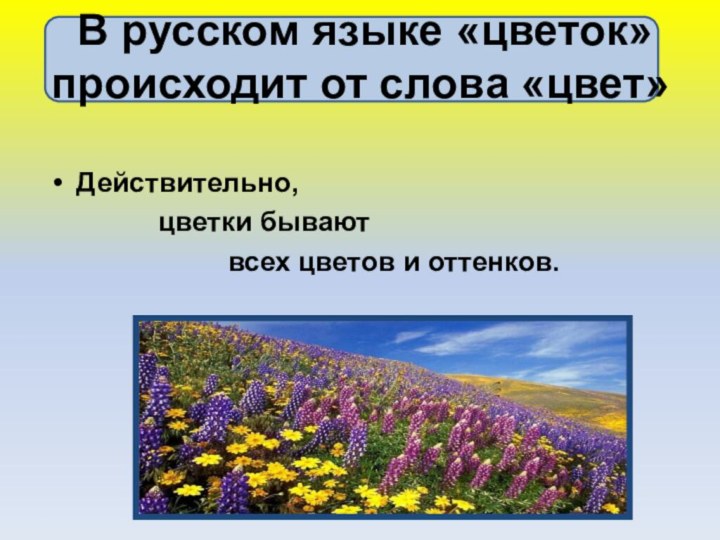 В русском языке «цветок» происходит от слова «цвет»Действительно,