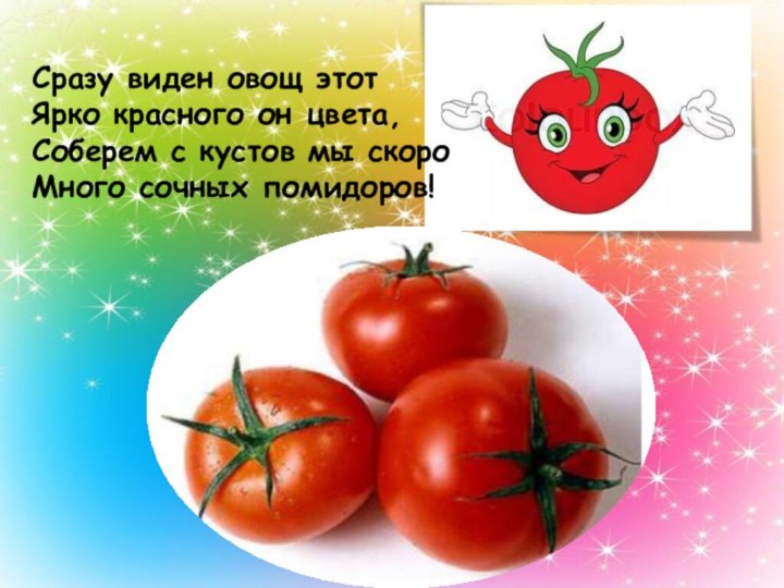 Сразу виден овощ этот Ярко красного он цвета, Соберем с кустов мы скоро Много сочных помидоров!