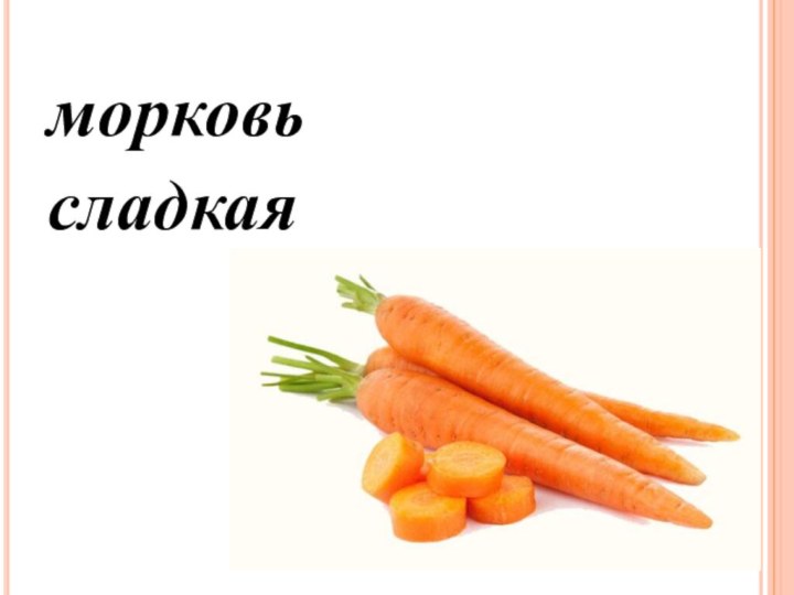 морковь  сладкая