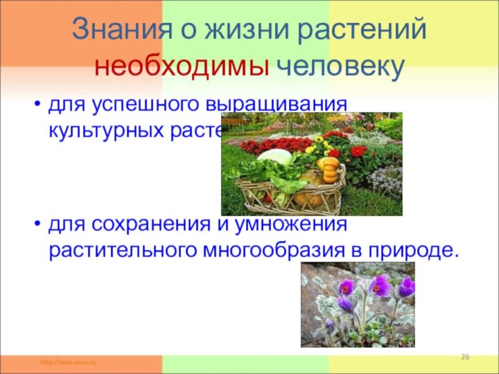 Знания о жизни растений необходимы человекудля успешного выращивания культурных растений;для сохранения и
