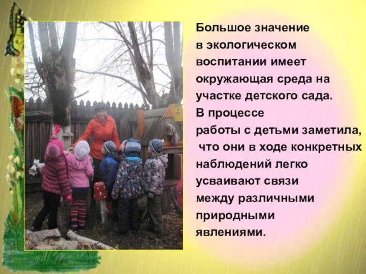 Большое значение в экологическомвоспитании имеет окружающая среда на участке детского сада. В