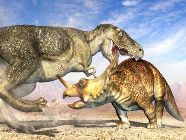 Как и животные нашего времени динозавры делились на хищников и травоядных. Хищники