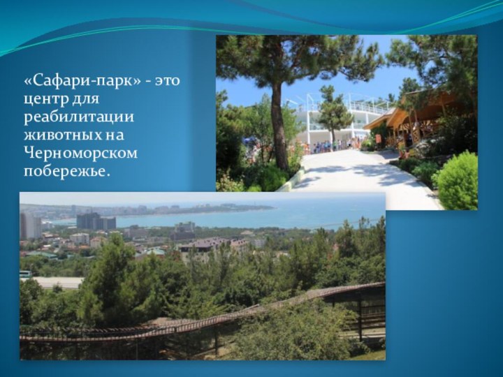 «Сафари-парк» - это центр для реабилитации животных на Черноморском побережье.