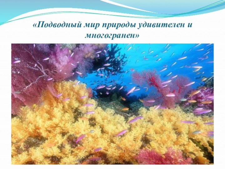 «Подводный мир природы удивителен и многогранен»